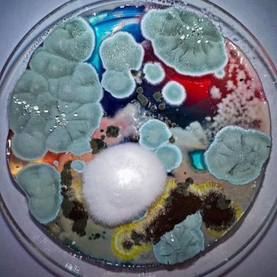 RSamusik's profile picture. 