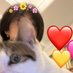 妮卡西嗷(雌堕版鲨口 (@nicasio7777) Twitter profile photo 妮卡西嗷(雌堕版鲨口 (@nicasio7777) Twitter profile photo