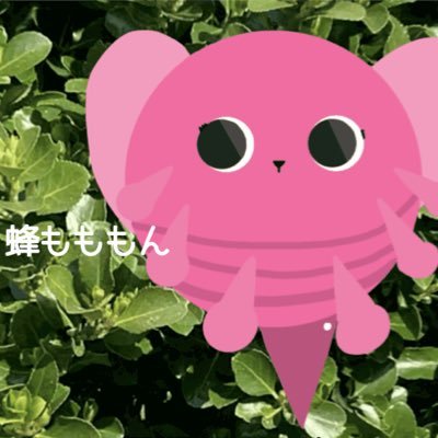 コーラガムさんのプロフィール画像