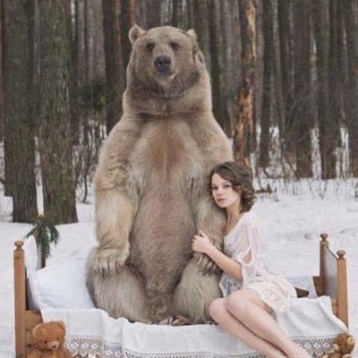 くまだくまださんのプロフィール画像
