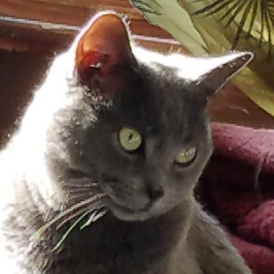 needleDN's profile picture. 22 | #1 @realJuanosu fan | he/him