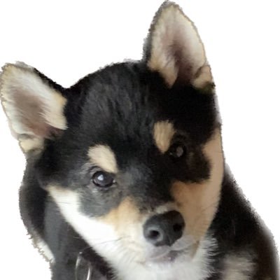 かずま👌🦄 (@kazuma_0522_) / Posts / X