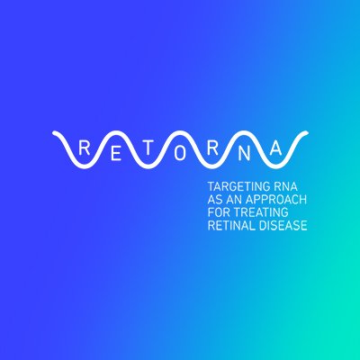 RETORNA is a MSCA Doctoral Networks project funded by the EC that aims to treat retinal diseases by using RNA therapy.
