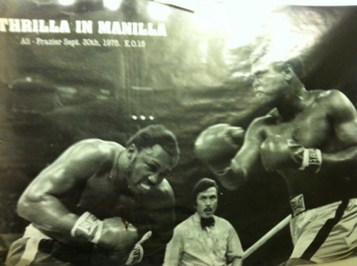 BoxingKingz's profile picture. 