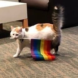 artemislovessun's profile picture. they/them | one two three for fuck y'all