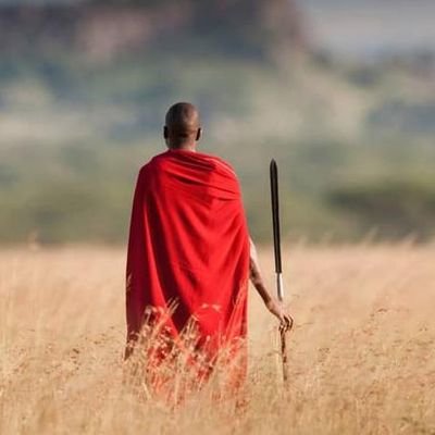 lemaron95's profile picture. Patriot  || Entrepreneur || Nomad || Optimistic ||