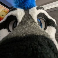 Kelpie Raccoon (@kelpieracc) 's Twitter Profile