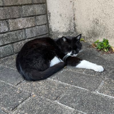 すみさんのプロフィール画像
