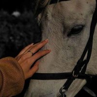 هناء باكير (@awaabakeer) Twitter profile photo