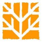 koki_tree's profile picture. Launch & grow your blog! Effortless beauty, guided by best practices, performance soars high.