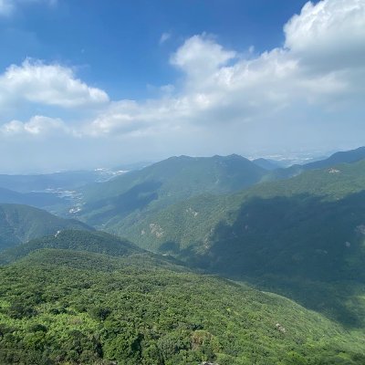 wangcha32933479's profile picture. day day up