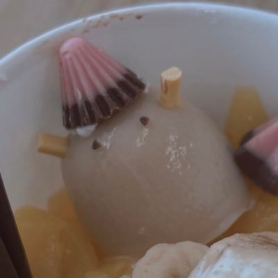 雑多ヲタク垢￤高卒済み18︎⤴︎￤フォロー非推奨￤⸜🌷⸝‍