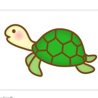 🐢 (@turtle_no7) 's Twitter Profile