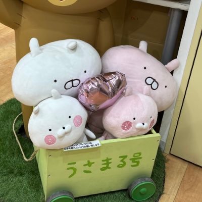 えっちょんさんのプロフィール画像