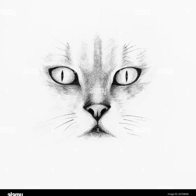 On reconnait le degré de civilisation d'un peuple à la façon dont ils traitent les animaux