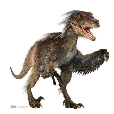 No velociraptors were harmed in the making of this profile. My pronouns are ahhh!/help!/run!
