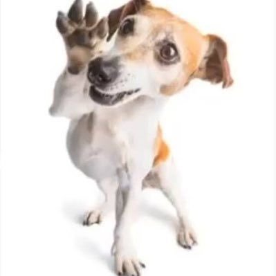 Aussie_Hset's profile picture. building demolition services