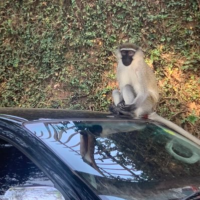 HadaadD's profile picture. Duke’s Gym CEO, ManUTD supporter, Cybersecurity expert & an Introvert