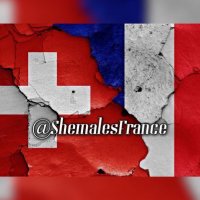 🇫🇷🇨🇭🇧🇪 Trans et Travestis Françaises(@ShemalesFrance) 's Twitter Profile Photo