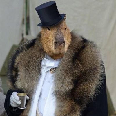 Ramonr210's profile picture. Capivara de rolex