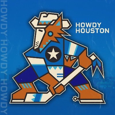 I want an NHL team in Houston #NHLHouston