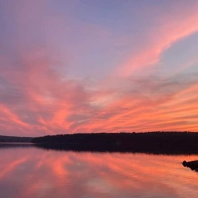 elizapaul55's profile picture. 18+

LGBTQIA+