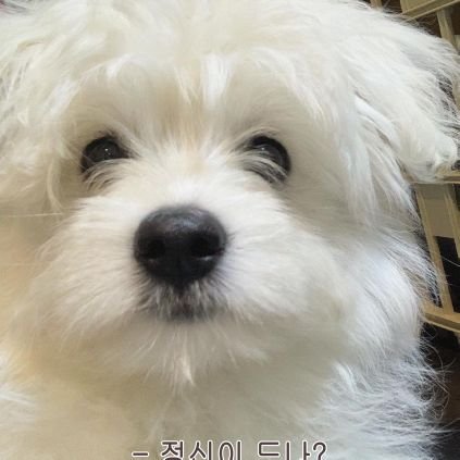 nonogram99's profile picture. 