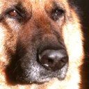 Bridget close - @Kittimix - Twitter