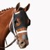 On Track TBS (@ontracktbs) Twitter profile photo On Track TBS (@ontracktbs) Twitter profile photo