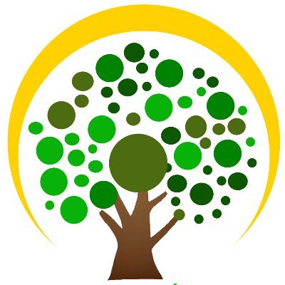 Planta un árbol🌳Proyecto Ecológico sustentable con vivero forestal en casa para la germinación de los árboles del mañana🌳🌳🌳Vendemos  plantas y semillas🌳🌳