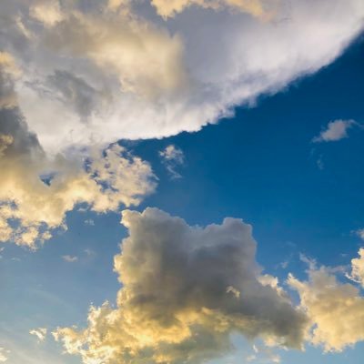 KnMwita's profile picture. 