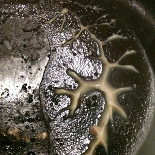 RichRojack01's profile picture. 