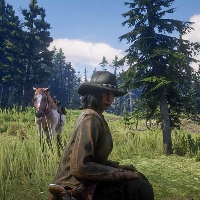 Wilderness survivor on the wild west documenting adventures for the sake of documenting.

(red dead online fictional character account for visual storytelling)
