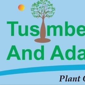 TusimbeI's profile picture. Tusimbe Biodiversity and adaption Initiative (TBAAI) is a non-governmental organization dedicated to promoting environmental conservation and awareness.