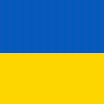 Ukraine 🇺🇦 army Armed forces of Ukraine/Ukrainian/member of volunteering groups in support for Ukraine