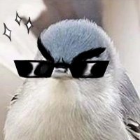 Sketchmess (@sketchmess1) 's Twitter Profile