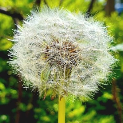 AMALIK512's profile picture. Personal!