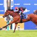 Al Shiraโaa Racing Ltd (@alshiraaracing) Twitter profile photo Al Shiraโaa Racing Ltd (@alshiraaracing) Twitter profile photo