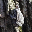 Craig Terrell - @CraigTerrell1 - Twitter