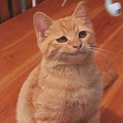 kaiyufui's profile picture. 