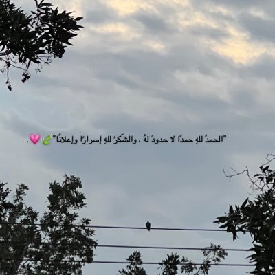 j3_q68's profile picture. المعادلة سهله جداً : إذا لم تستطع ترك المعاصي زاحمها بالطاعات ..🕊