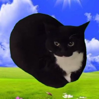 メーカー 一覧 MAXWELL X / (@maxwellcoineth) CAT THE その他