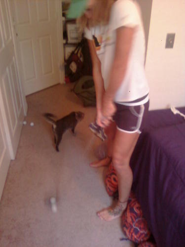 kathryncicchini's profile picture. I am a very outgoing, intelligent woman and a major Chicago Bears fan & believe in living life to the fullest for no one is promised tomorrow.