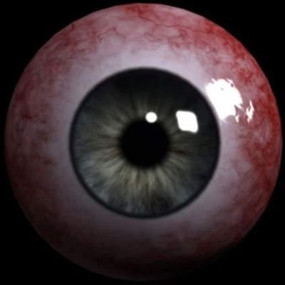 dreski83's profile picture. football fan, casual reader, movie junkie