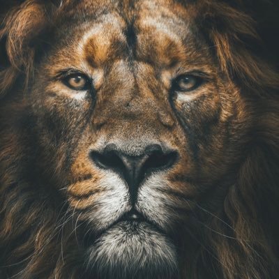 YolculukSessiz's profile picture. Hedefi olmayan Helak olur çaba bizim hüküm Allah’ın…Ölüler Yaşayanlardan daha çok çiçek alırlar…