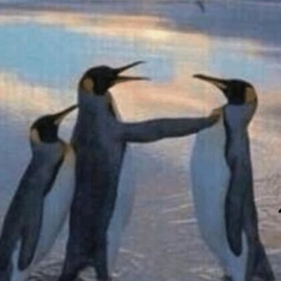 _whiteguy1's profile picture. crypto is for nerds