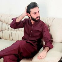 Syed Saiel Raza Bukhari(@BukhariSaiel) 's Twitter Profile Photo