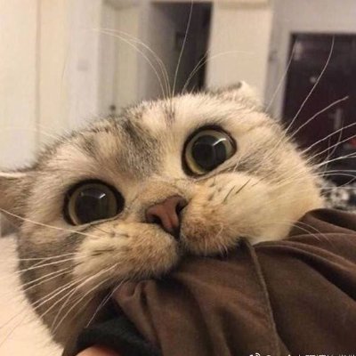 nanning1994's profile picture. 南宁