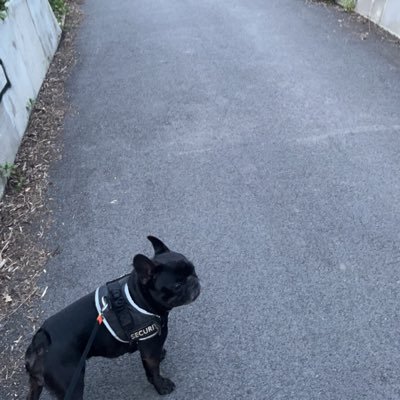 foxe_23's profile picture. 
