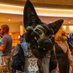 Coal_The_Wolf@MEGAPLEX24 (@coalthewolf) Twitter profile photo